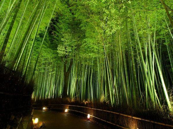Villa 柏 一吾山房 Haku Ichigo-Sanbo à Kyoto Extérieur photo